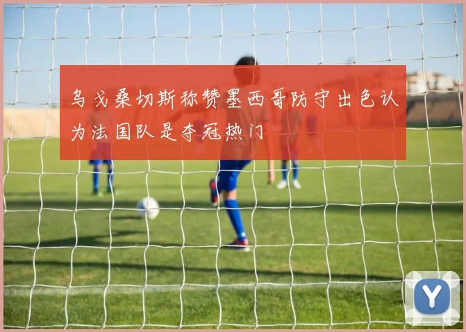 乌戈桑切斯称赞墨西哥防守出色认为法国队是夺冠热门