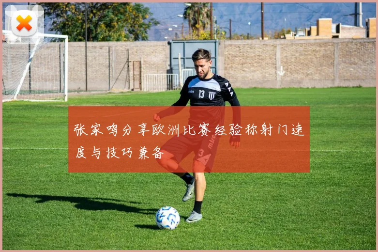 张家鸣分享欧洲比赛经验称射门速度与技巧兼备